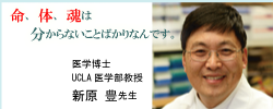 UCLA医学部教授　医学博士　新原豊先生　応援メッセージ